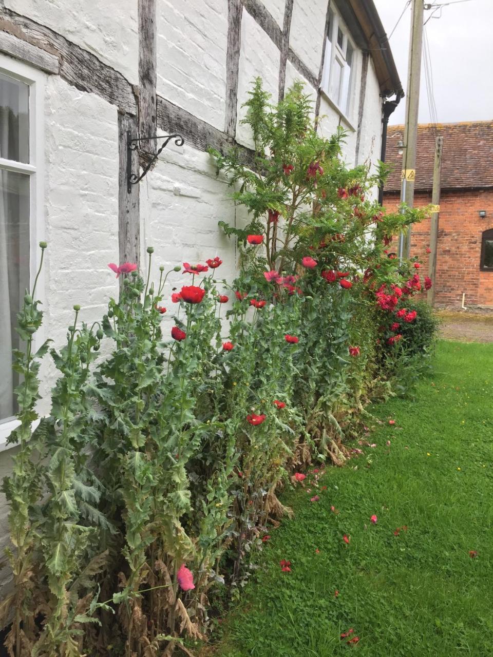 Home Farm Birtsmorton Exterior foto